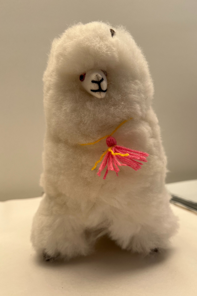 Handmade Llama