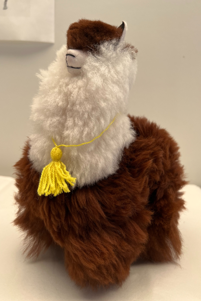 Handmade Llama